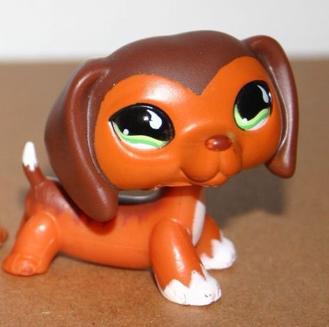 Highschool Drama, Lps Dachshund, Lps Dog, Lps Popular, Lps Toys, Shop Fan, Lps Pets, Cat Info, Toy Brand