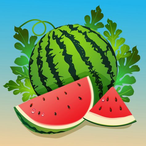 Watermelon Leaves, Watermelon Vector, Watermelon Images, Pineapple Vector, Watermelon Illustration, Pineapple Illustration, Summer Sale Banner, Fruit Cartoon, Leaves Illustration