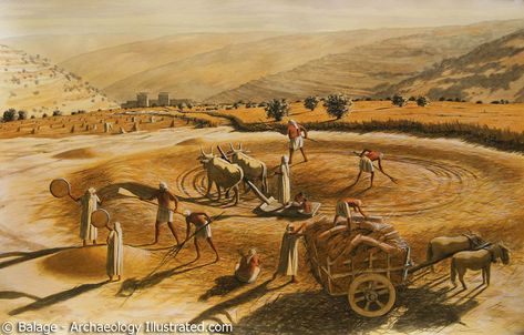 Araunahs Threshing Floor Threshing Floor, Temple Mount, Dome Of The Rock, Bible History, Vintage Industrial Furniture, King David, Ancient Mysteries, Diy Flooring, Bible Art