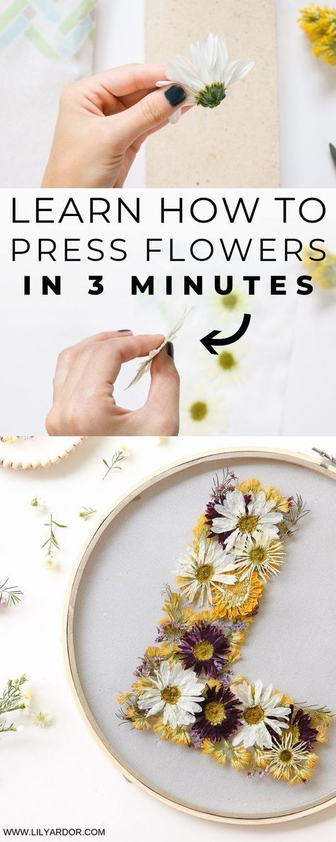 Crafts With Dried Flowers, Bake Packaging, Pressed Flowers Diy, Flowers At Home, Press Flowers, Drying Flowers, Diy Frühling, Dried Flowers Diy, Diy Fleur