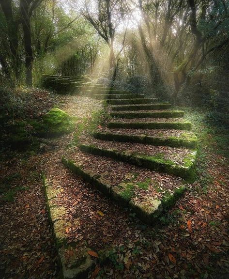 Travel Earth on Instagram: “Heavenly scene. #aroundtheworldpix Photography by @ilusalazar” Stairs In The Woods, Beautiful Stairs, Spain Photography, Landscaping Images, Stairway To Heaven, Belleza Natural, Beautiful Lights, In The Woods, Beautiful Nature