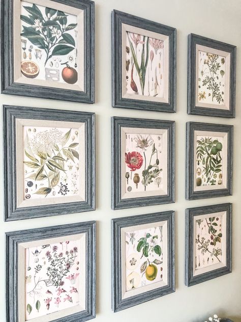 Botanical Gallery Wall, Botanical Kitchen, Kitchen Gallery Wall, Print Gallery Wall, Bunker Hill, Cottage Kitchens, Botanical Decor, Christmas Tree Shop, Botanical Wall Art