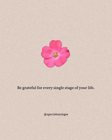 Life Quotes Short Aesthetic, Romantice Your Life Quotes, Beatufil Quotes, Small Happiness Quotes, One Line Thoughts Life, Dp Quotes Inspirational, Life Quotes Short Positive, Stages Of Life Quotes, Single Life Is Best Dp