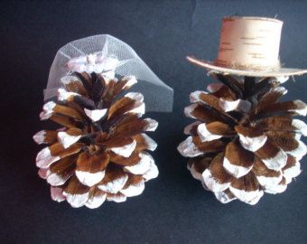 Country Cake Toppers, Fall Cake Toppers, Frosted Pinecones, Cone Cake, Frugal Wedding, Country Wedding Cakes, Diy Wedding Cake, Rustic Wedding Cake Toppers, Winter Wedding Cake