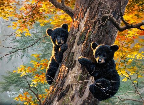 Black Bears Art, Art Knowledge, Climbing A Tree, Black Bear Cub, Bear Artwork, Bear Paintings, Bank Robber, Black Bears, Muse Art