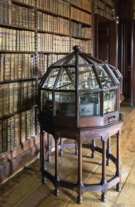 Dunham Massey, Georgian House, Dream Library, Beautiful Library, Georgian Homes, Home Libraries, Wooden Clock, National Trust, Wooden Storage