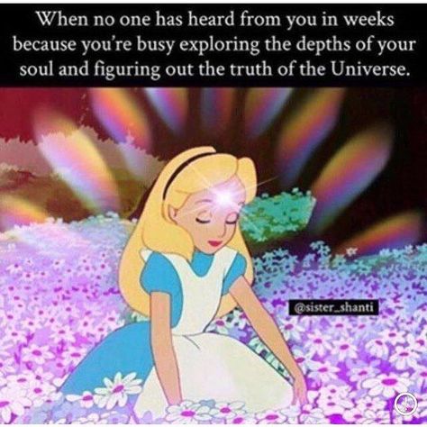 Alice in the wonderland Funny Spiritual Memes, Enfp And Infj, Image Positive, Higher Consciousness, A Silent Voice, New Energy, A Cartoon, Infj, Spiritual Journey