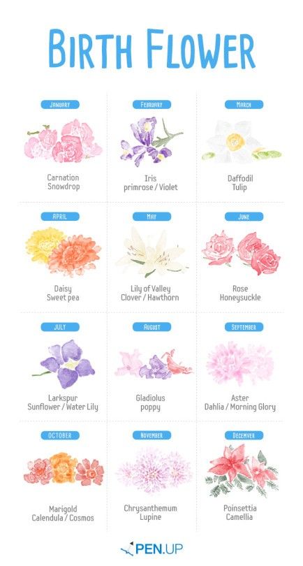 Rose Color Meanings, Draw Tattoo, Flower Chart, Muster Tattoos, Theme Tattoo, 2016 Calendar, Birth Flower Tattoos, Flower Meanings, Blog Challenge