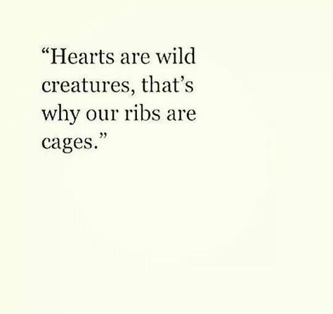 Hearts Are Wild Creatures, Trip Quotes, Love Life Quotes, Body Is A Temple, Wild Creatures, Heart Quotes, Wild Hearts, Amazing Quotes, Love Words