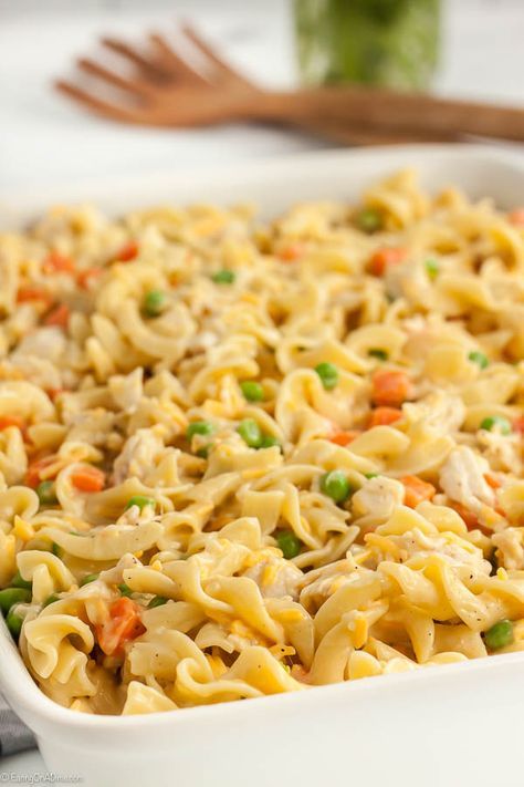 Chicken noodle casserole recipe is easy and the best comfort food. Creamy chicken and noodles with cheese make this a casserole everyone will go crazy over. Chicken Egg Noodle Casserole, Chicken Noodle Casserole Easy, Creamy Chicken And Noodles, Chicken Noodle Casserole Recipe, Easy Veggie Side Dish, Chicken And Noodles, Creamy Chicken Casserole, Noodle Casserole Recipes, Chicken Casseroles