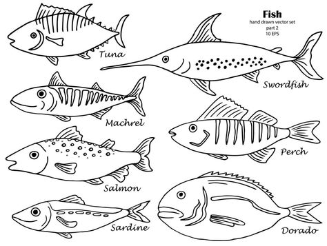 Set of isolated line hand drawn fish with names. Sketch collection Drawing Of Fish, Drawn Fish, Fish Drawing, Fish Drawings, Cityscape Photos, Logo Banners, Easy Drawing, Heart With Arrow, Custom Illustration