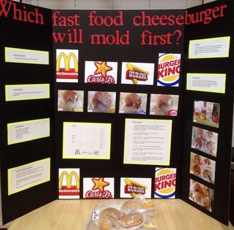 Science Project- Which Cheeseburger will Mold first? Mold Science Fair Project, Science Fare Project Ideas, Food Science Fair Projects, Science Fair Ideas Highschool, 3rd Grade Science Fair Projects Ideas, Elementary School Science Fair Projects, Science Fair Projects For Elementary, Science Fair Topics, 3rd Grade Science Projects