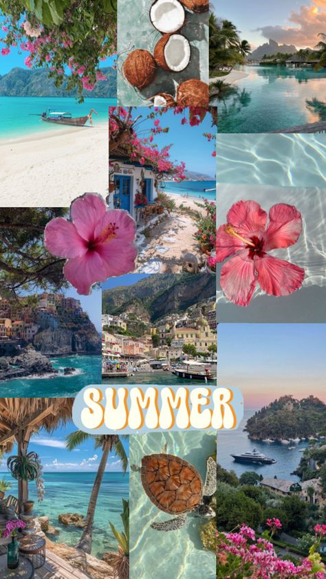 #summer #beach #coconut #sea #ocean #palmtree #flower #pink #sun #vacation #aestetich Beachy Wallpaper, Summer Beach Pictures, Baby Blue Wallpaper, Beach Coconut, Cute Summer Wallpapers, Beach Flowers, Wallpaper Iphone Summer, Flower Collage, Cute Simple Wallpapers