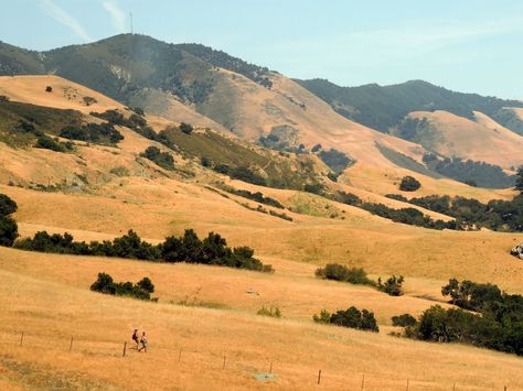 Wide Open. California Hills, East Of Eden, California Photos, California Landscape, Oak Trees, Landscape Illustration, Modern Landscaping, Big Sky, Flowers Nature