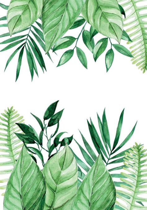 watercolor drawing, frame with tropical leaves. border palm leaves, jungle plants. bright summer background with place for text isolated on white background Tropical Leaves Photography, Jungle Plants Drawing, Jungle Leaves Drawing, Palm Leaves Drawing, Tropical Plants Drawing, Palm Leaf Drawing, Tropical Leaves Drawing, Tropical Plants Illustration, Drawing Jungle