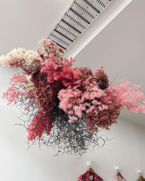 LU DIAMOND || Lucy on Instagram: “Keeping the candy floss dream alive!! Two pom poms hung this morning for Clare’s window at @hellodarlingnz 💕” Hung Flowers, Hanging Arrangements, Store Inspiration, Vip Lounge, Flower Installation, Candy Floss, Hanging Flowers, Wedding Vibes, Ceiling Decor