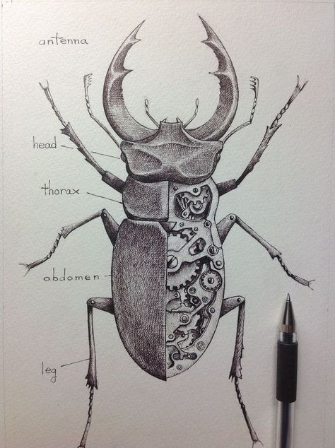 Bug Tattoo Ideas, Mechanical Objects, Steampunk Drawing, Beetle Drawing, Bugs Drawing, Beetle Tattoo, Beetle Art, Bug Tattoo, Insect Tattoo