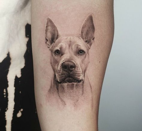 Simple Dog Portrait Tattoo, Dog Back Tattoo, Pitbull Tattoo For Women, Dog Head Tattoo, Realistic Dog Tattoo, Dog Face Tattoo, Unique Dog Tattoo Ideas, Dogs Tattoos, Tattoo Perro