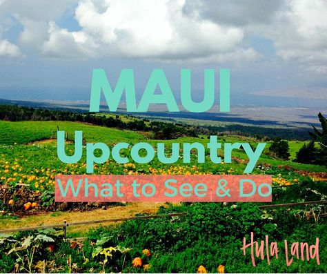 Upcountry Maui, Maui Honeymoon, Maui Itinerary, Maui Activities, Hawaiian Travel, I Need Vitamin Sea, Hawaii Destinations, Hawaii Travel Guide, Maui Beach