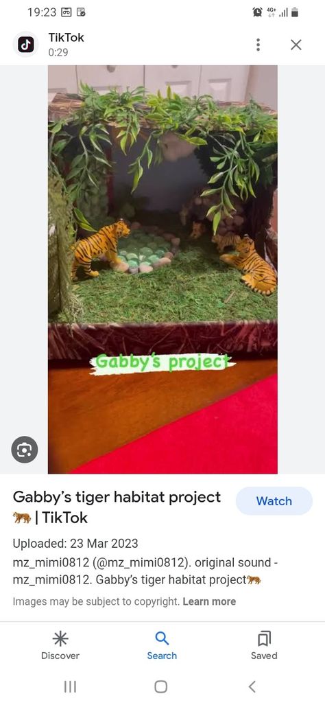 Tiger Habitat Diorama, Tiger Habitat Project For Kids, Tiger Diorama Habitat, Tiger Habitat, Habitats Projects, School Projects, Projects For Kids, Habitat, Craft Ideas