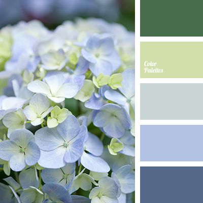 Resource that helps you in color selection, specially created with this aim; it is the generator of inspiration Hydrangeas Flowers, Purple Hydrangeas, Wall Living Room, Paint Combinations, Deco Nature, Green Color Schemes, Hydrangea Purple, Grey Color Scheme, Flowers Blue