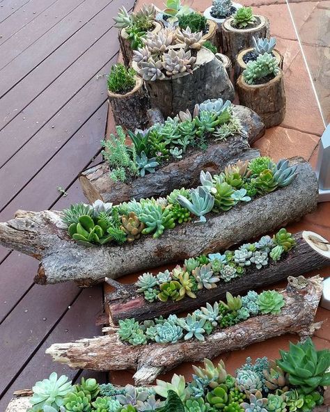 45 Succulent Wedding Ideas That Are In Trend - Mrs to Be Succulent Landscape Design, Succulent Landscaping, Succulent Garden Diy, Succulent Gardening, Succulents Indoor, Succulents Diy, Rustic Garden Decor, Rustic Gardens, Succulent Planter