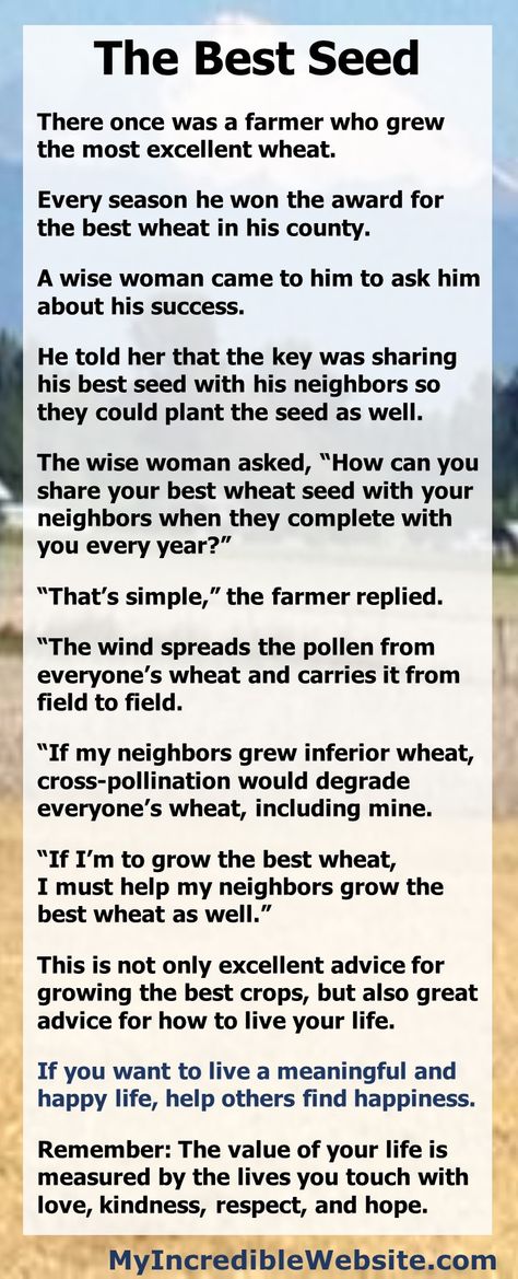 The Best Seed Short Story - If you want to live a meaningful and happy life, help others find happiness. Remember: The value of your life is measured by the lives you touch with love, kindness, respect, and hope. Inspiring Stories Motivation, Short Stories Inspirational, Meaningful Stories, Meaningful Short Stories, Short Meaningful Stories, Inspiring Short Stories, Inspirational Story Motivation, Short Motivational Stories With Moral, Motivation Stories