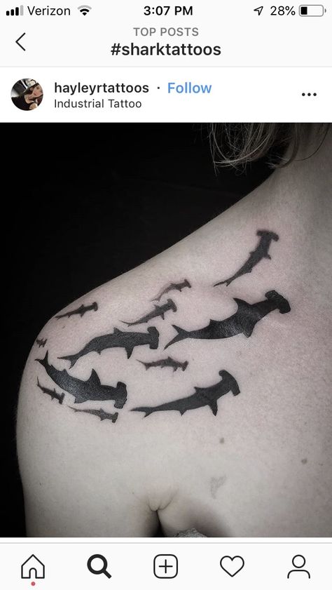 Shark Tattoo Silhouette, Shark Tattoo On Shoulder, Galapagos Shark Tattoo, Hunter Tatoos, Shark Tattoo Shoulder, Nose Pricing, Hammerhead Tattoo, Shark Tooth Tattoo, Hammerhead Shark Tattoo