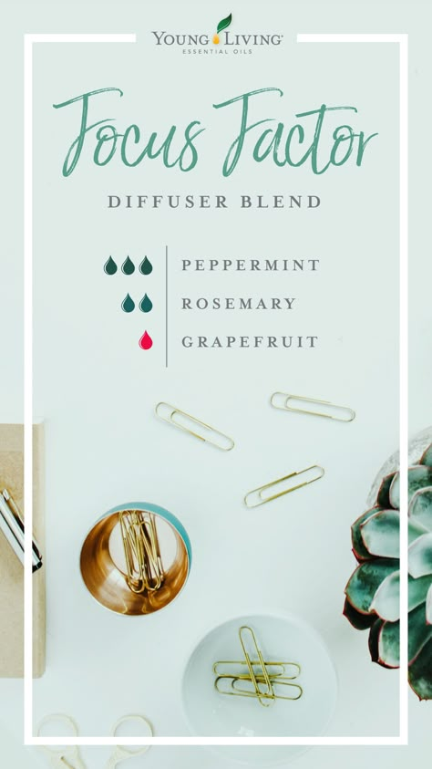 Young Living Essential Oil Diffuser, Diffuser Blends Young Living, Diffuser Scents, Living Oils Recipes, Essential Oil Combinations, Essential Oil Diffuser Blends Recipes, Essential Oil Remedy, Young Living Essential Oils Recipes, Essential Oils Guide