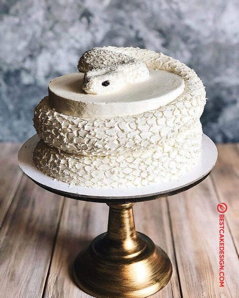 Snake Cakes Birthday, Snake Bday Cake, Snake Cake Design, Cupcake Snake Cake, Snake Wedding Cake, October Cake Ideas, October Cakes Birthday, Snake Dessert, Snake Cake Ideas