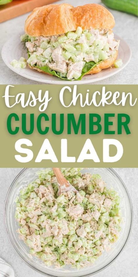 Cucumber Chicken Salad Sandwich recipe Chicken Cucumber Avocado Salad, Cucumber Chicken Recipes, Shredded Chicken For Salads, Cucumber Chicken Salad Sandwich, Chicken Salad Recipe Cucumber, Chicken Cucumber Wrap, Cucumber And Chicken Salad, Shredded Cucumber Recipes, Sandwiches With Cucumbers