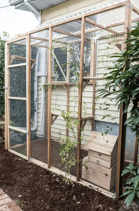 15 Free DIY Catio Plans That Are Perfect For The Outdoors (With Pictures) - Catster Outside Cat Enclosure, Catio Plans, Diy Cat Enclosure, Feral Cat House, Small House Garden, Cat Patio, Outdoor Cat Enclosure, Herb Garden Design, Vertical Garden Diy