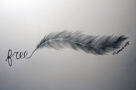 Feather Sketch, Tattoo Feather, Pencil Tattoo, Polynesian Tattoos, Feather Tattoo Design, Geniale Tattoos, Shoulder Tattoos, Feather Tattoo, Elephant Tattoos