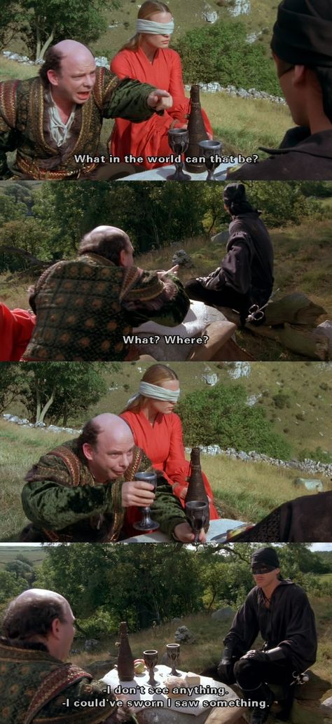 "What in the world can THAT be?" Princess Bride Quotes, Princess Bride Movie, Inigo Montoya, Best Movie Lines, The Princess Bride, 90s Memories, Epic Movie, Movie Lines, Princess Bride