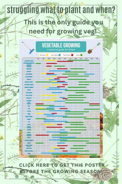 36 DIFFERENT PLANTS - Featuring 36 different plants and crops, along with their sowing, planting out and harvesting dates, you'll never be short of something to do in the garden or on the allotment all year round! #ad #gardening #vegetables #plants Gardening Vegetables, Gantt Chart, Calendar Planner, Different Plants, A3 Size, Growing Vegetables, Outdoor Plants, Vegetable Garden, Planting