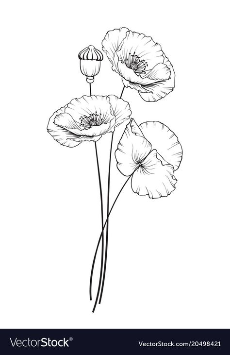 Poppy Flower Drawing, Poppy Costume, Poppy Flower Tattoo, Poppy Tattoo, Flower Poppy, Poppies Tattoo, Spring Illustration, Flower Line Drawings, Flower Sketches