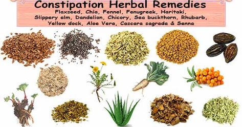 Herbs For Constipation, Soak Chia Seeds, Health Notes, Chronic Constipation, Medical Herbs, Food Medicine, Relieve Constipation, Slippery Elm, Emergency Preparation