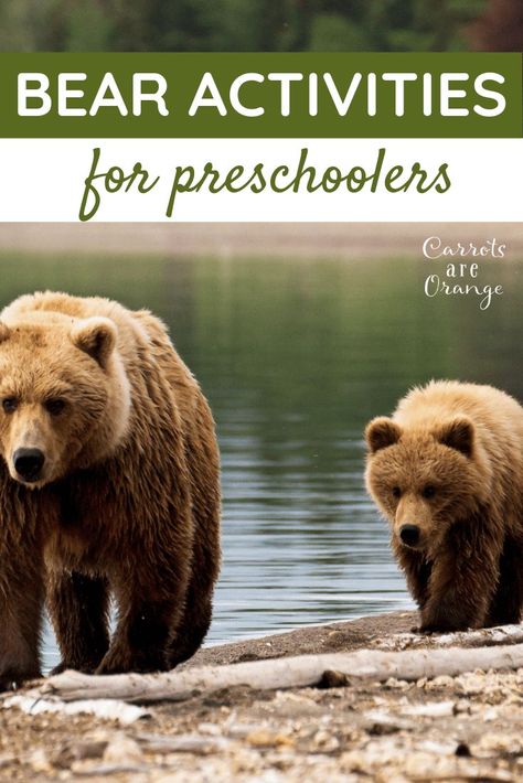 Bears For Preschoolers, Bear Science Preschool, Bears Activities For Preschool, Activities For Four Year Olds, Learning Activities For 4 Year, Bear Activities Preschool, Bear Activities, Bears Preschool, Kindergarten Art Activities