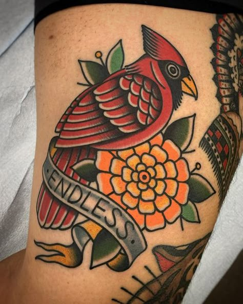 ANDREW BAYSINGER on Instagram: "Cardinal and marigold for Eric from last week tucked next to some rad @alvin_aldridge pieces. Swipe for a video. #tattoo#tattoos#traditionaltattoo#traditionaltattoos#traditional_tattoo#boldwillhold#bright_and_bold#topclasstattooing#traditionalworkers#traditionalclub#tradworkers#tradworkerssubmission#traditionalartist#oldlines#outerlimits#outerlimitstattoo#costamesa#newportbeach#colortattoo#blacktattoo" Traditional Cardinal Tattoo, Video Tattoo, Marigold Tattoo, Cosmos Tattoo, Cardinal Tattoo, Cardinal Tattoos, Flash Sheets, Tattoo Leg, Tattoo Flash Sheet