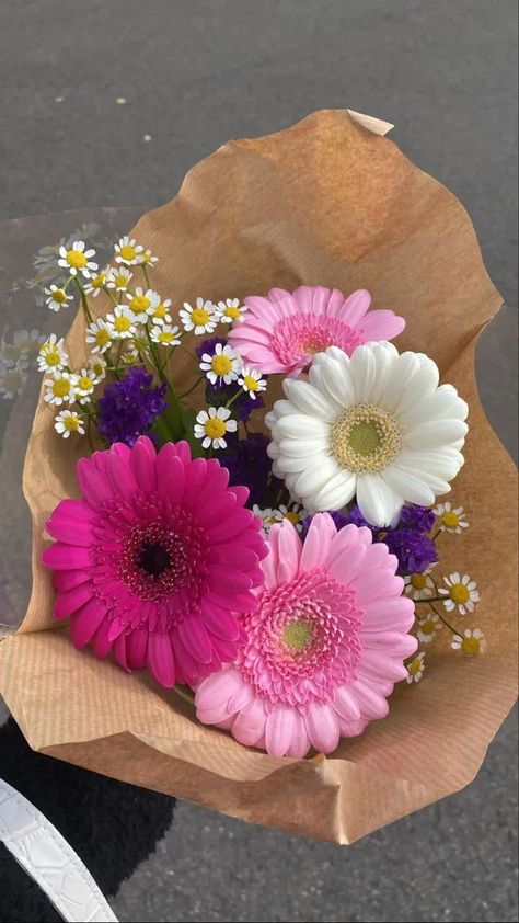 Gerbera Flower, Boquette Flowers, Nothing But Flowers, Flowers Bouquet Gift, Flower Therapy, Flowers For You, Beautiful Bouquet Of Flowers, Bouquet Of Flowers, Tulips Flowers