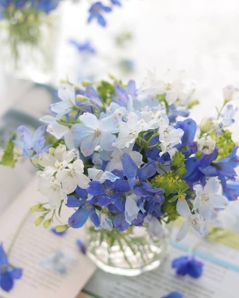 Zoom Wallpaper, Aesthetic Objects, Good Morning Beautiful Images, Blue Garden, Beautiful Flower Arrangements, Light Spring, Aesthetic Photography Nature, Salon Design, Delphinium