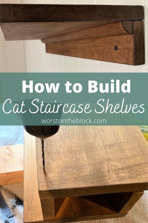 Diy Climbing Wall For Cats, Stairs For Cats Ideas, How To Make Cat Shelves, Cat Ladder Diy Indoor, Cat Feeding Shelf Diy, Cat Ledges Indoor Diy, Wood Crate Cat Wall, Cat Bookshelf Diy, Diy Cat Perch Wall