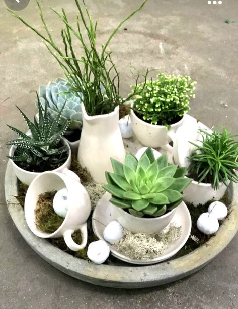 Succulent Garden Indoor, Succulent Garden Design, Succulent Garden Diy, Succulent Gardening, Garden Art Sculptures Diy, Garden Containers, Garden Art Projects, Garden Yard Ideas, Garden Art Crafts