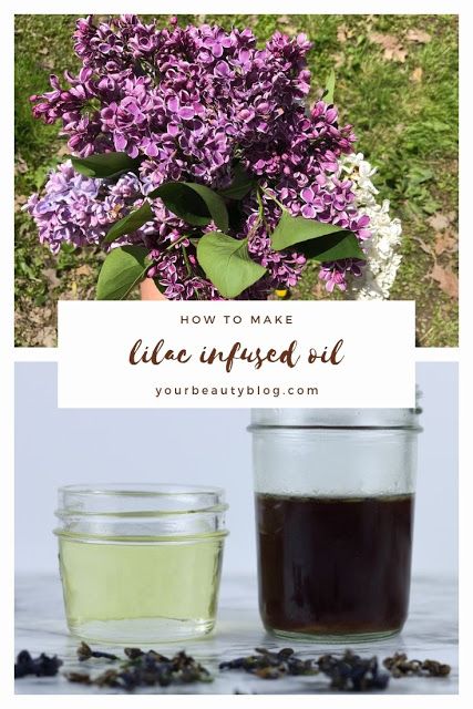 Lilac Oil, Lilac Essential Oil, Diy Natural Beauty Recipes, Easy Diy Beauty Products, Lilac Scent, Natural Skincare Recipes, Beauty Hacks Skincare, Natural Beauty Recipes, Infused Oil