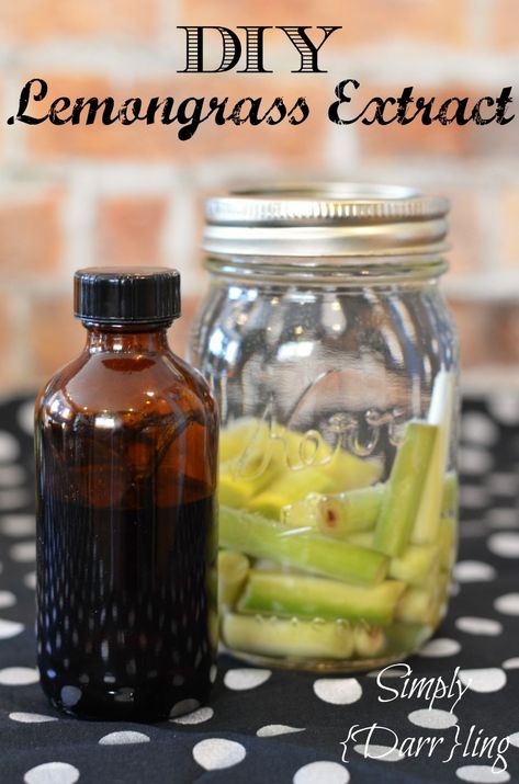 DIY Lemongrass Extract Lemongrass Oil Diy, Diy Lemongrass Essential Oil, Lemongrass Tincture Recipe, Lemon Grass Oil Diy, Lemongrass Tincture, Extracts Homemade, Diy Tinctures, Homemade Extracts, Diy Extracts