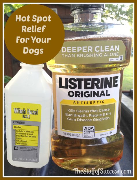 Hot Spot Relief For Your Dogs Dog Hot Spots, Flea Remedies, Meds For Dogs, Pet Remedies, Itchy Dog, Dog Remedies, Aromatherapy Recipes, Oils For Dogs, Dog Skin