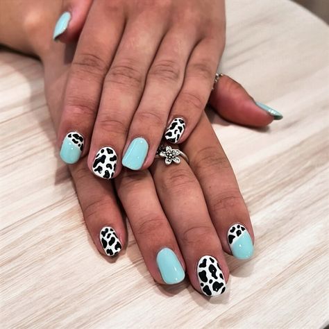 Abstract cow print nails with a bright teal for my client who works in farming 🐄🤠 much needed week off and a self care treat! #cowprint #abstractnailart #tealnails #summernailart #farmnails #farminguk #selfcareneeded Cute Cow Print Nails, Cow Print Nails, Teal Nails, Cow Nails, Abstract Nail Art, Print Nails, Makeup Stuff, Nail Art Summer, Much Needed