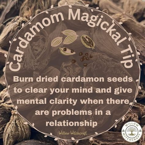 Cardamom Witchcraft, Witchy Knowledge, Hearth Witch, Witch Woman, Personal Philosophy, Herbal Witch, Grimoire Journal, Spiritual Tips, Goddess Magick