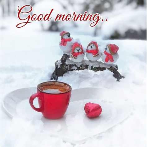 Winter Saturday Morning Quotes, Happy Winter Saturday, Good Morning Happy Saturday Blessings, Good Morning Saturday Winter, Saturday Morning Quotes, Saturday Greetings, Good Morning Winter, Weekend Greetings, Week Quotes