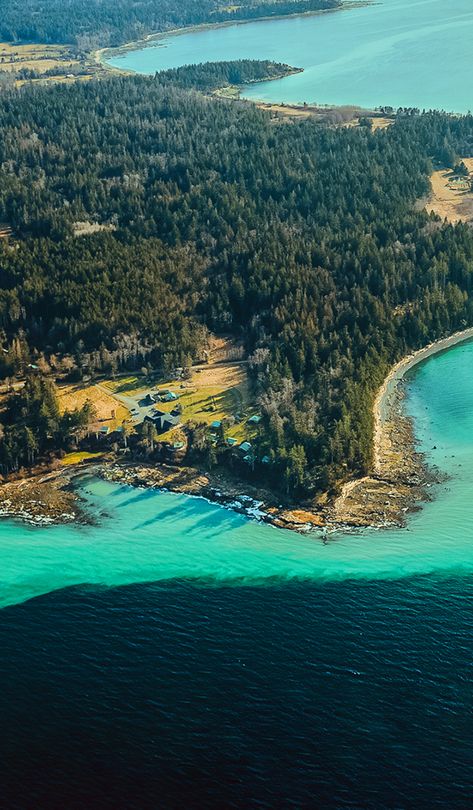 Sea Breeze Lodge | Your Hornby Island Getaway Hornby Island, Rustic Comforter, Rustic Cabins, Relax And Unwind, Waterfront Property, Island Getaway, Sea Breeze, Rustic Cabin, Cozy Cottage